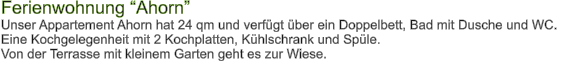 Ferienwohnung Ahorn Unser Appartement Ahorn hat 24 qm und verfgt ber ein Doppelbett, Bad mit Dusche und WC.  Eine Kochgelegenheit mit 2 Kochplatten, Khlschrank und Sple. Von der Terrasse mit kleinem Garten geht es zur Wiese.